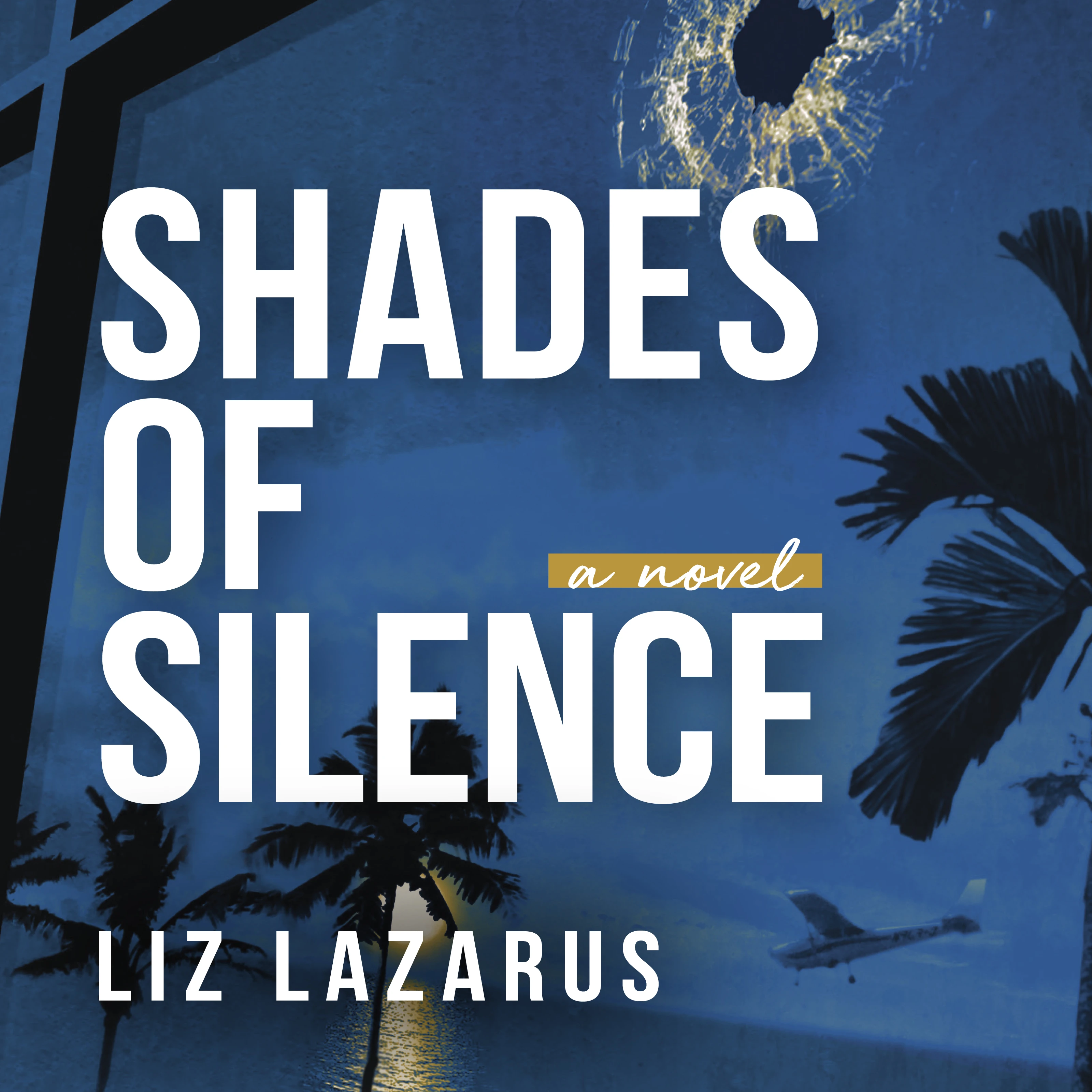Shades of Silence: Audio Book