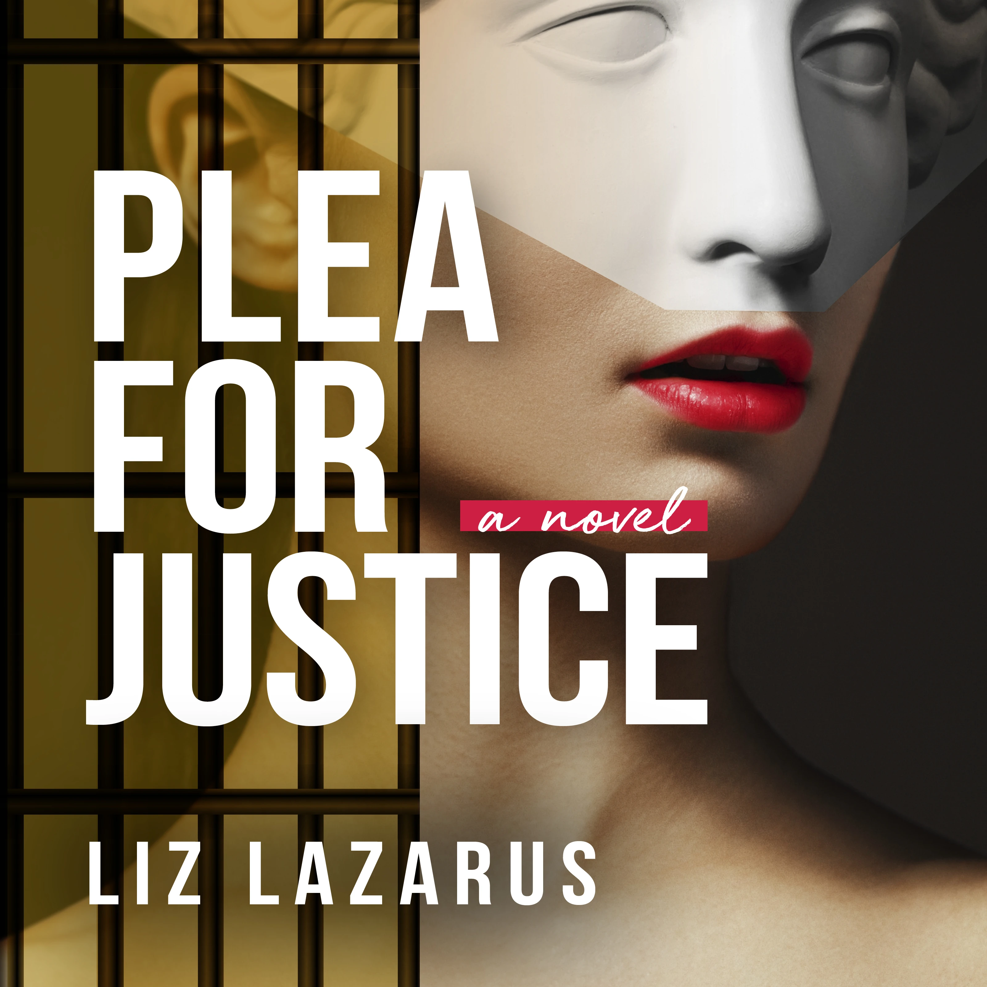 Plea for Justice: Audio Book